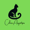 Colorindo Arquétipos